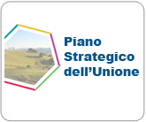 progetto psu